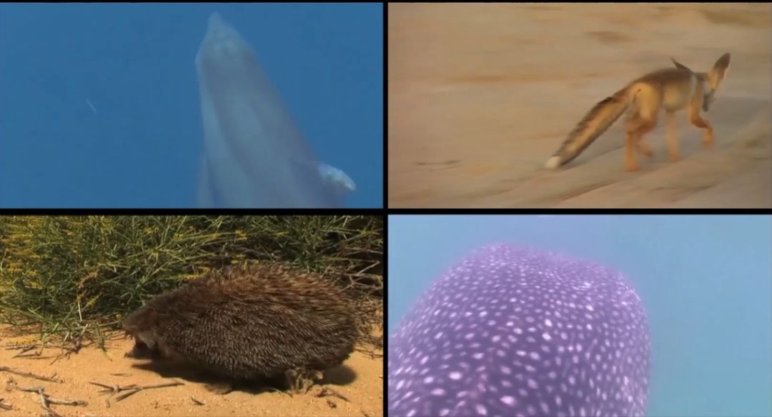 yp街机(中国)电子游戏官网