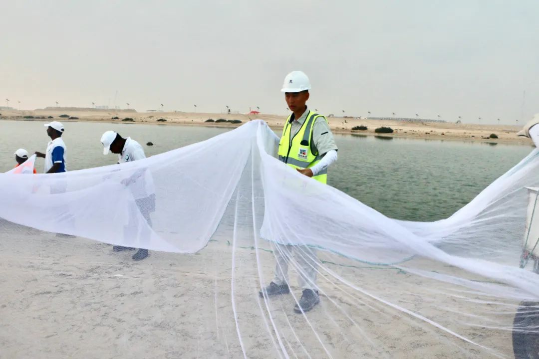 yp街机(中国)电子游戏官网