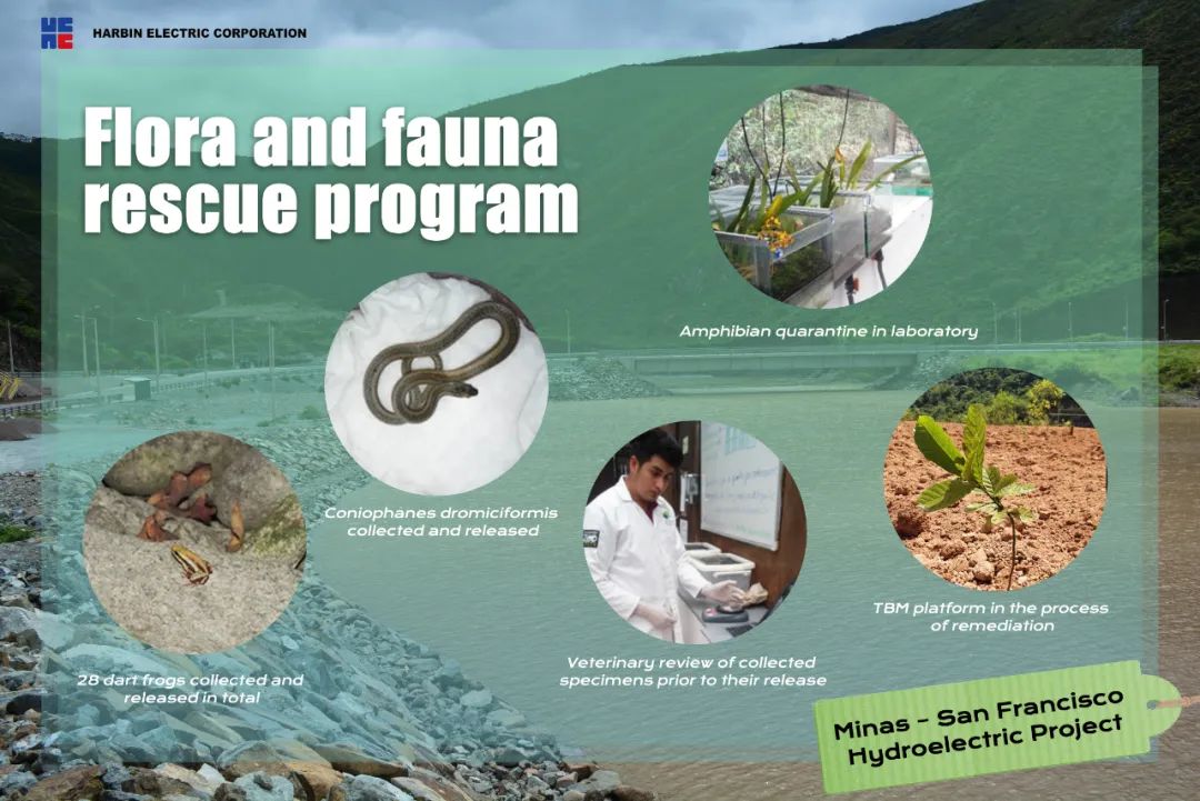 yp街机(中国)电子游戏官网