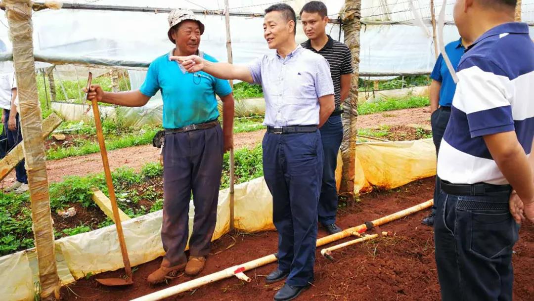 yp街机(中国)电子游戏官网