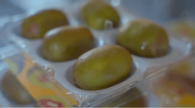 yp街机(中国)电子游戏官网