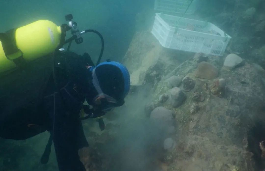 yp街机(中国)电子游戏官网