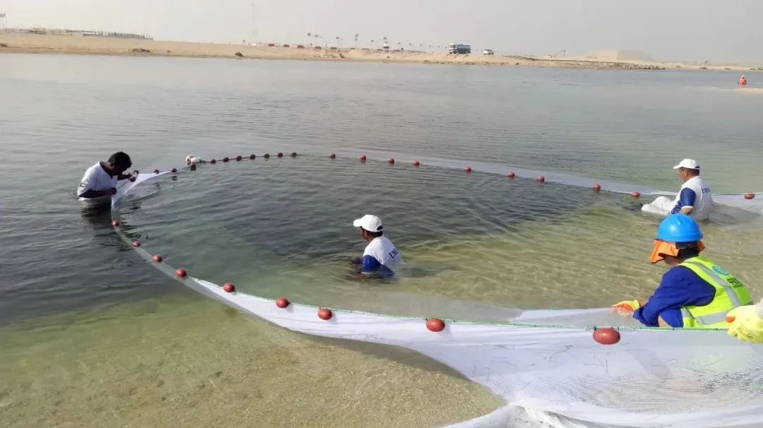 yp街机(中国)电子游戏官网