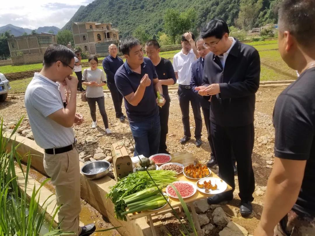 yp街机(中国)电子游戏官网