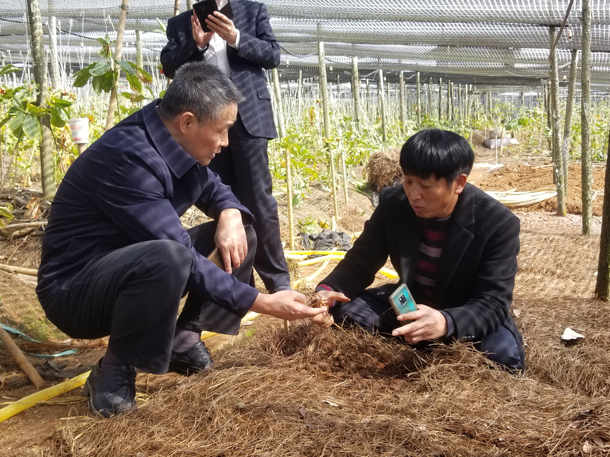 yp街机(中国)电子游戏官网