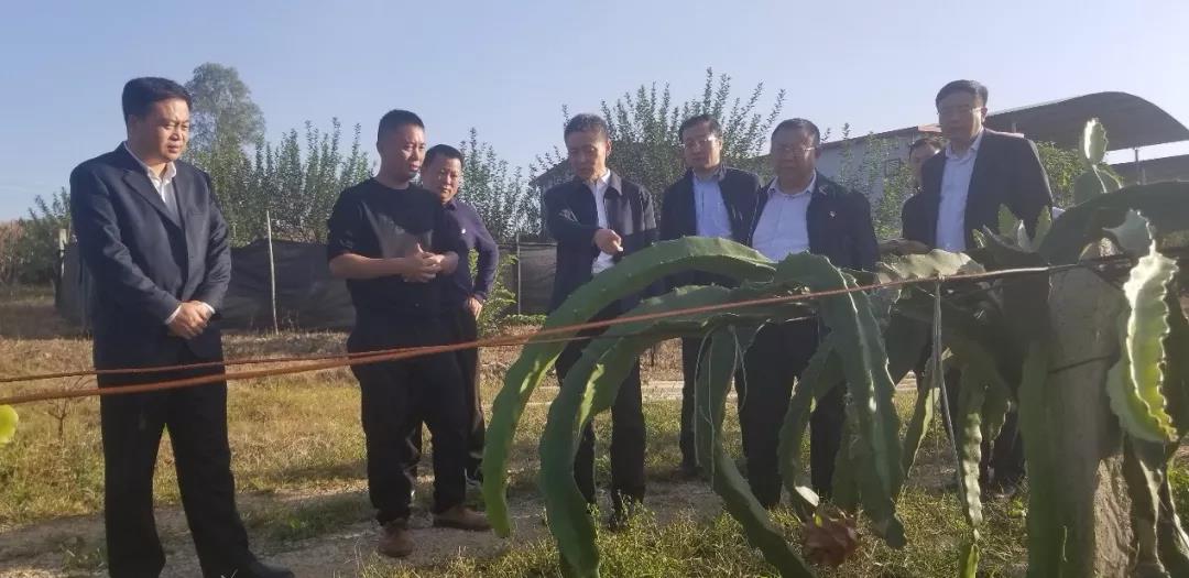 yp街机(中国)电子游戏官网