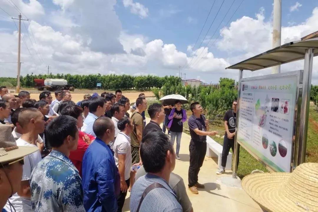 yp街机(中国)电子游戏官网