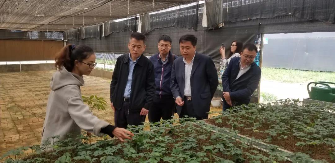 yp街机(中国)电子游戏官网