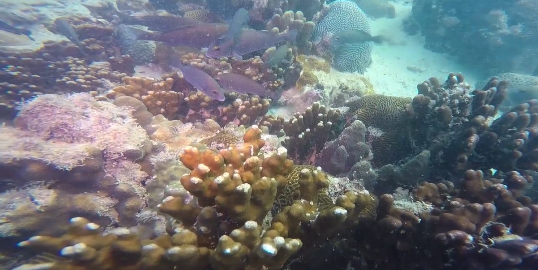 yp街机(中国)电子游戏官网