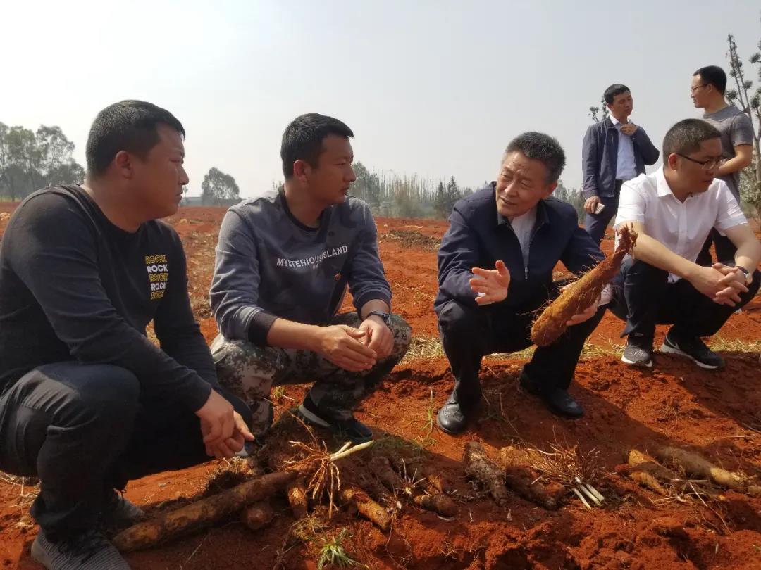 yp街机(中国)电子游戏官网