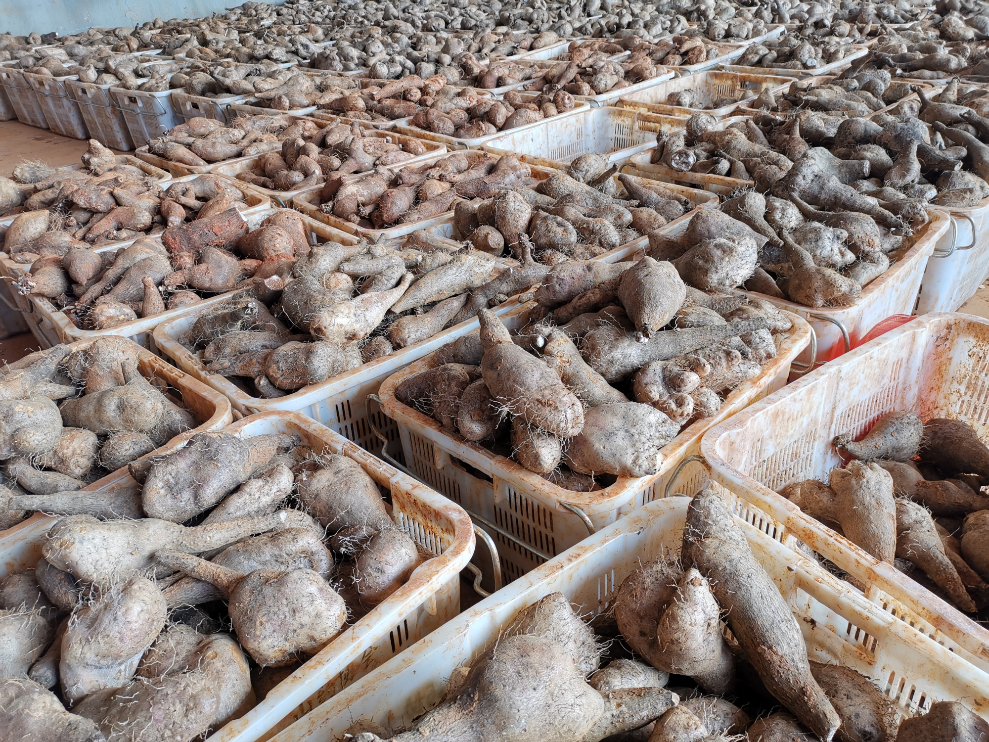 yp街机(中国)电子游戏官网