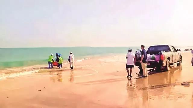 yp街机(中国)电子游戏官网