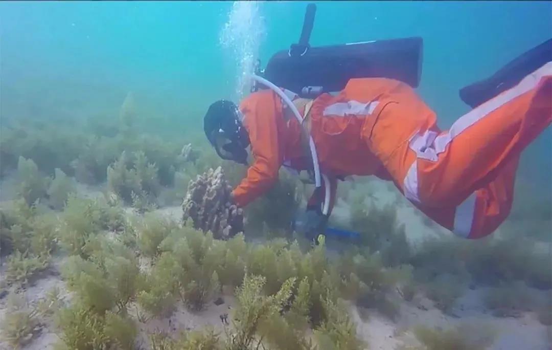 yp街机(中国)电子游戏官网